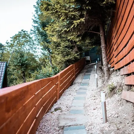 Holiday home Pinewood Brasov