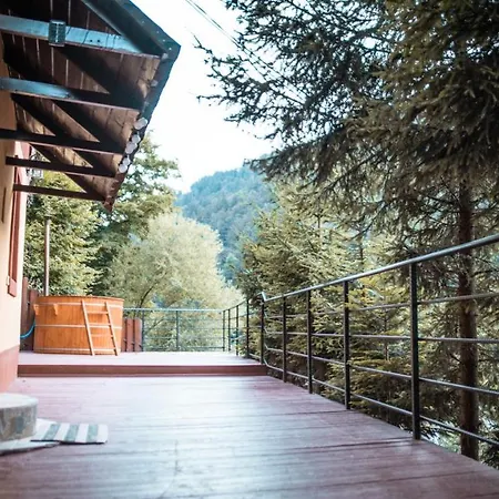 Pinewood * Brasov