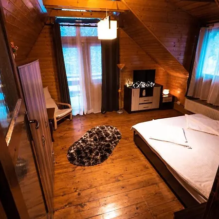 Holiday home Pinewood Brasov